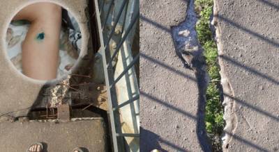 В Ярославской области окровавленный ребенок остановил разрушение моста - progorod76.ru - Ярославская обл.