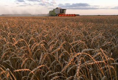 Марин Бобров - Египет закупил 405.000 т российской пшеницы на очередном тендере - smartmoney.one - Россия - Египет - Каир - Omsk