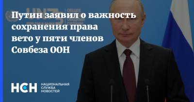 Владимир Путин - Путин заявил о важность сохранения права вето у пяти членов Совбеза ООН - nsn.fm - Россия