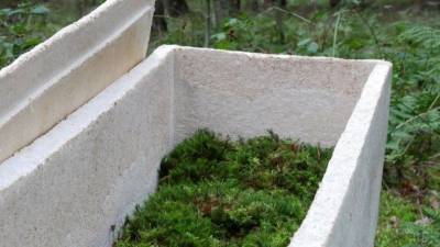 Забота об экологии или способ нажиться? «Живые гробы» из грибов создали в Нидерландах - 5-tv.ru - Голландия