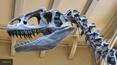 Спинозавр из "Парка Юрского периода — 3" на самом деле жил в воде - politros.com - Алжир - Марокко