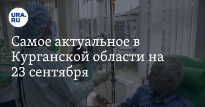 Самое актуальное в Курганской области на 23 сентября. Онкобольные пожаловались на отсутствие лекарств, в Кургане срывается губернаторская инициатива - ura.news - Курганская обл. - Курган - Шадринск