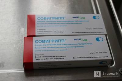 Стало известно, можно ли нижегородцам прививаться от гриппа после перенесенного коронавируса - vgoroden.ru - Нижегородская обл.