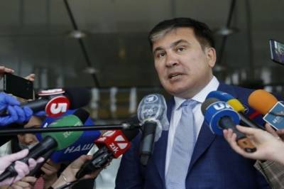 Михаил Саакашвили - Нино Бурджанадзе - Экс-спикер парламента Грузии считает, что Саакашвили не вернется в страну - aif.ru - Украина - Грузия