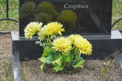 В Воронежской области за сутки от коронавируса умерли пять человек - gorcom36.ru - Воронежская обл.