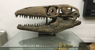 Древняя гигантская рептилия получила название «Пасть смерти» - popmech.ru - США - Юта