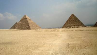 Ученые выяснили, как в гробницах Египта появились миллионы мумий птиц - piter.tv - Египет - Франция