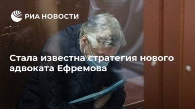 Михаил Ефремов - Роман Филиппов - Эльман Пашаев - Стала известна стратегия нового адвоката Ефремова - ria.ru - Москва - респ. Алания