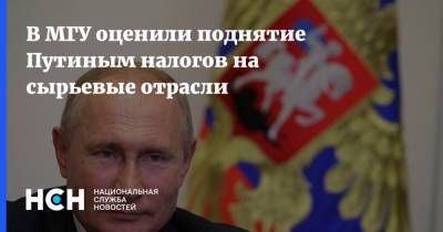 Владимир Путин - В МГУ оценили поднятие Путиным налогов на сырьевые отрасли - nsn.fm - Россия