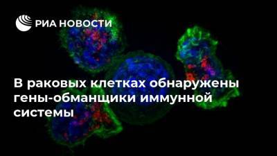 В раковых клетках обнаружены гены-обманщики иммунной системы - ria.ru - Москва - Канада
