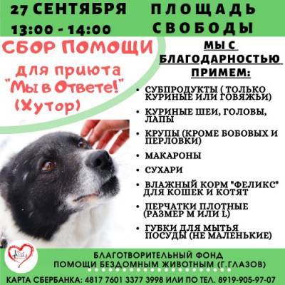 Бездомным животным нужна ваша помощь - gorodglazov.com - Удмуртия