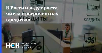 Олег Лагуткин - В России ждут роста числа просроченных кредитов - nsn.fm - Россия