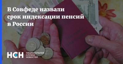 Валерий Рязанский - В Совфеде назвали срок индексации пенсий в России - nsn.fm - Россия