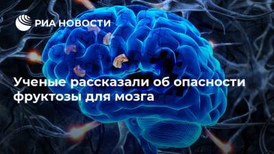 Ученые рассказали об опасности фруктозы для мозга - ria.ru - Москва - США - Япония - Мексика - county Frontier