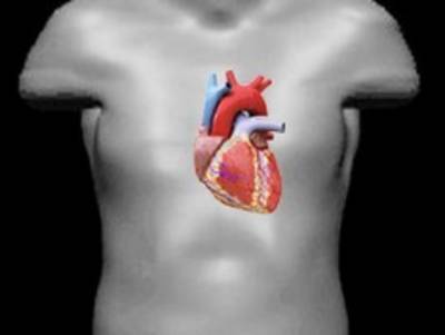 Алексей Яковлев - В.А.Алмазов - Кардиолог объяснил, как COVID-19 влияет на сердце здорового человека - rosbalt.ru