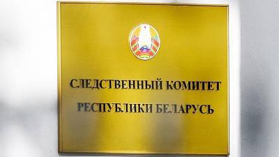 Егор Мартинович - CК Белоруссии завел уголовное дело о клевете в отношении главреда «Нашей нивы» - iz.ru - Белоруссия