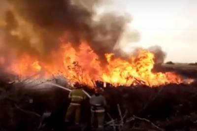 В Черкассах пожарные всю ночь тушили пожар возле зоопарка (видео) - newsone.ua - Черкасская обл. - Черкассы - Гсчс