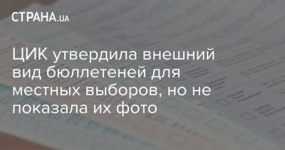 ЦИК утвердила внешний вид бюллетеней для местных выборов, но не показала их фото - strana.ua - Украина