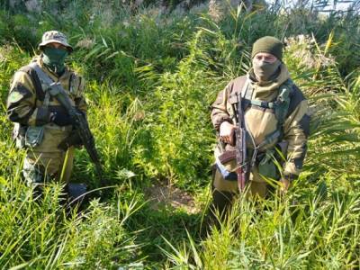 В Одесской области задержали мужчину за выращивание конопли - golos.ua - Украина - Одесская обл.