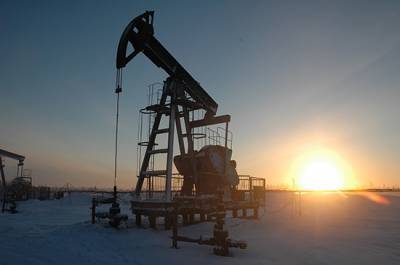 Павел Сорокин - Завершение инвентаризации нефтяных месторождений перенесут на 2021 год - pnp.ru