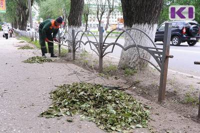 В Коми водитель врезался в спиленные деревья, но суд отказал ему в возмещении ущерба - komiinform.ru - респ. Коми - Сыктывкар