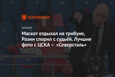 Константин Окулов - Максим Мамин - Максим Шалунов - Маскот отдыхал на трибуне, Разин спорил с судьёй. Лучшие фото с ЦСКА – «Северсталь» - championat.com - Москва