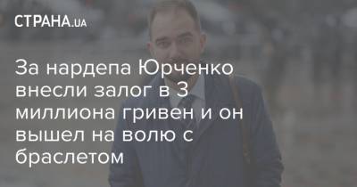 Олеся Чемерис - За нардепа Юрченко внесли залог в 3 миллиона гривен и он вышел на волю с браслетом - strana.ua - Украина