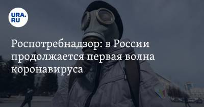 Сергей Нетесов - Владимир Чуланов - Александр Горелов - Роспотребнадзор: в России продолжается первая волна коронавируса - ura.news - Россия