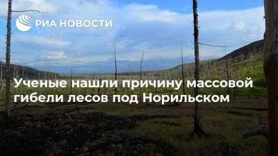 Ученые нашли причину массовой гибели лесов под Норильском - ria.ru - Москва - Норильск - Арктика