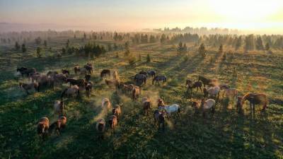 Международный журнал National Geographic опубликовал снимок фотографа из Уфы - bash.news - Россия - Башкирия - Уфа