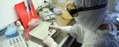 За минувшие сутки в Омской области зафиксировано 76 эпизодов COVID-19 - runews24.ru - Россия - Омск - Омская обл.
