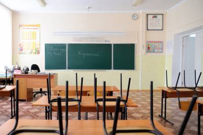 Несколько школ и детсадов в Северной Осетии ввели карантин из-за коронавируса - etokavkaz.ru - респ. Алания - Владикавказ