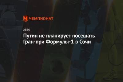 Владимир Путин - Льюис Хэмилтон - Дмитрий Песков - Даниил Квят - Максим Ферстаппен - Песков: Путин не планирует посещать Гран-при Формулы-1 в Сочи - championat.com - Россия - Сочи