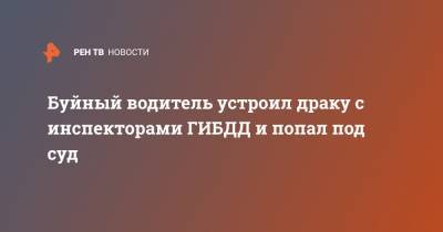 Буйный водитель устроил драку с инспекторами ГИБДД и попал под суд - ren.tv - Свердловская обл.