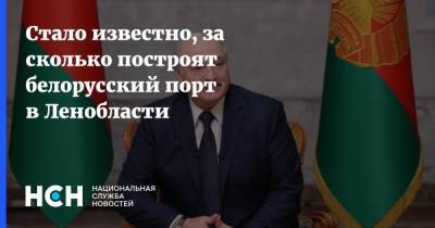 Александр Лукашенко - Дмитрий Болкунец - Стало известно, за сколько построят белорусский порт в Ленобласти - nsn.fm - Россия - Ленинградская обл. - Белоруссия - Минск