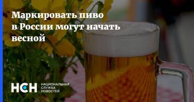 Денис Мантуров - Маркировать пиво в России могут начать весной - nsn.fm - Россия