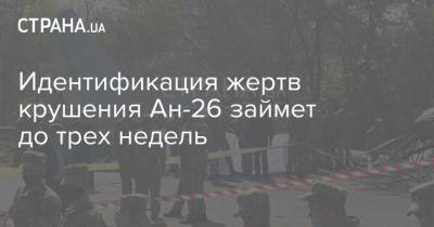 Идентификация жертв крушения Ан-26 займет до трех недель - strana.ua - Украина - Харьковская обл.