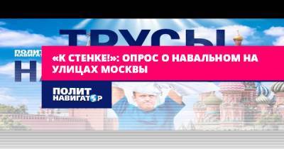 Алексей Навальный - «К стенке!»: Опрос о Навальном на улицах Москвы - politnavigator.net - Москва - Россия