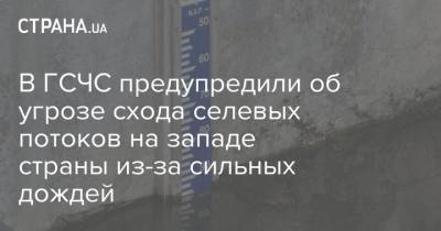 В ГСЧС предупредили об угрозе схода селевых потоков на западе страны из-за сильных дождей - strana.ua - Украина