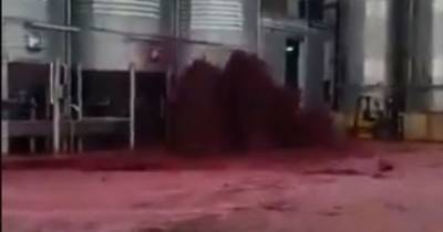 В Испании завод затопило красным вином (видео) - klops.ru - Spain