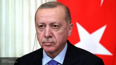 Тайип Эрдоган - Жители Турции подверглись уголовному преследованию за критику Эрдогана - polit.info - Турция