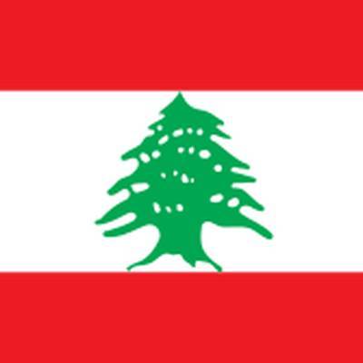 Мишель Аун - Эмануэль Макрон - Хасан Диаб - Премьер-министр Ливана заявил об отставке - radiomayak.ru - Франция - Ливан - Бейрут