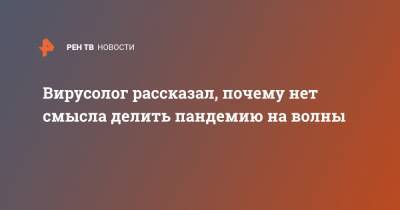 Анатолий Альштейн - Вирусолог рассказал, почему нет смысла делить пандемию на волны - ren.tv - Москва