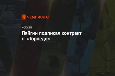 Зият Пайгин - Александр Черных - Пайгин подписал контракт с «Торпедо» - championat.com