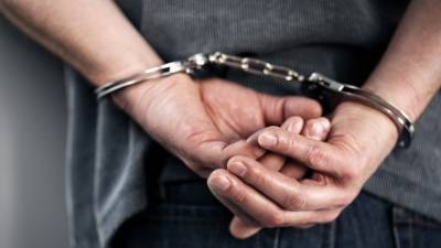 В Петербурге поймали мужчину, напавшего с веревкой на студентку ради кошелька и смартфона - 5-tv.ru - Россия - Ленинградская обл. - Санкт-Петербург