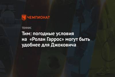 Рафаэль Надаль - Эшли Барти - Тим Доминик - Тим: погодные условия на «Ролан Гаррос» могут быть удобнее для Джоковича - championat.com - Австрия - Австралия - Франция - Париж