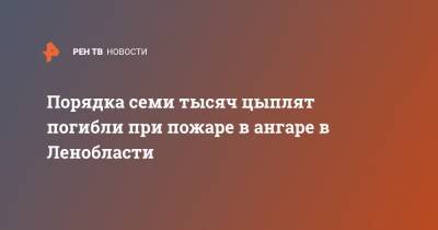 Порядка семи тысяч цыплят погибли при пожаре в ангаре в Ленобласти - ren.tv - Ленинградская обл. - Воронеж - р-н Кировский - Борисоглебск