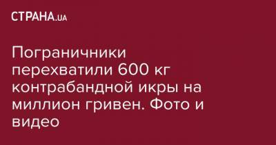 Пограничники перехватили 600 кг контрабандной икры на миллион гривен. Фото и видео - strana.ua - Россия - Венгрия - Черкасская обл.