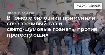 В Гомеле силовики применили слезоточивый газ и свето-шумовые гранаты против протестующих - tvrain.ru - Белоруссия - Гомель