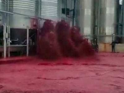 50 тыс. литров. В Испании затопило красным вином целый завод: видео - bykvu.com - Украина - Spain